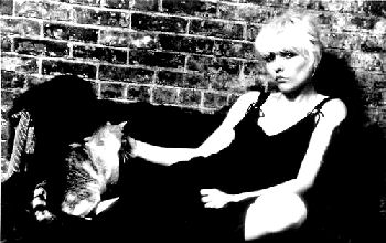 Debbie Harry and her pussy